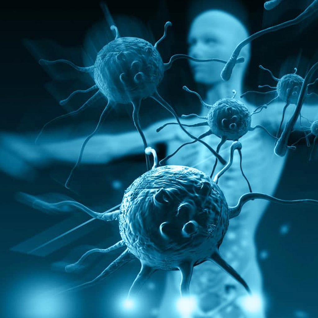 Hoogwaardige voedingssupplementen voor je weerstand