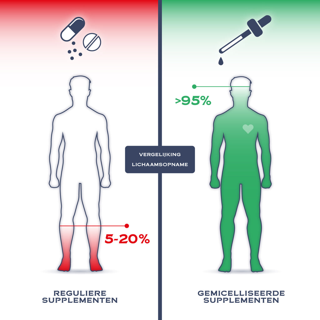 Het verschil in opneembaarheid van verschillende supplementen en vitamines